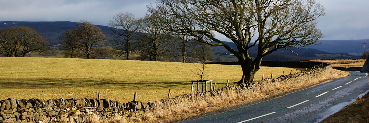 1565166226668990.jpg 新闻中心模板4.jpg